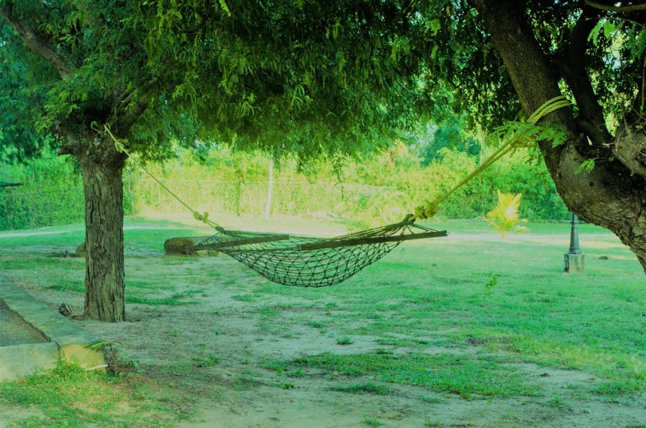 Forestville Yala Exterior foto