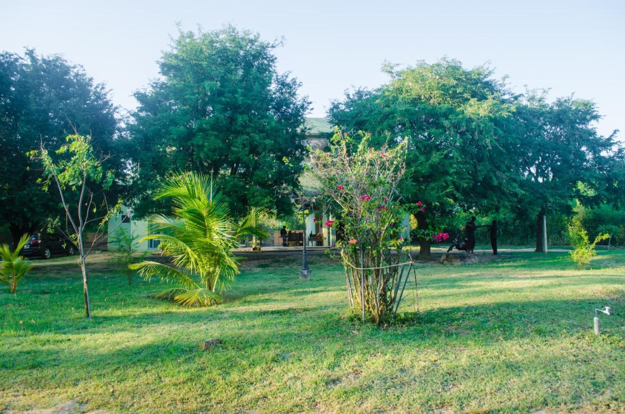 Forestville Yala Exterior foto