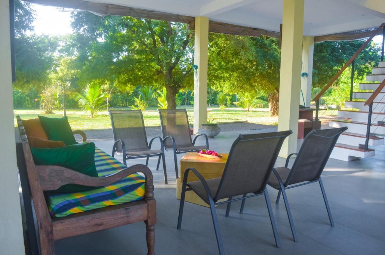 Forestville Yala Exterior foto