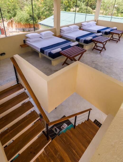 Forestville Yala Exterior foto
