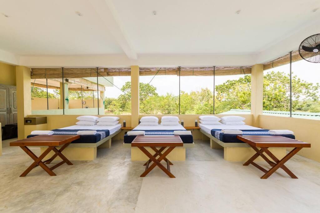 Forestville Yala Exterior foto